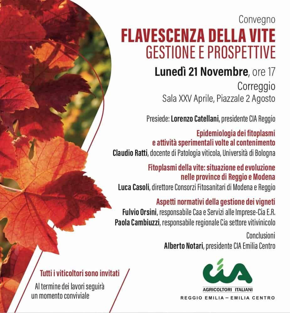 flavescenza dorata
