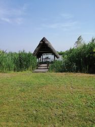 aree rinaturalizzate