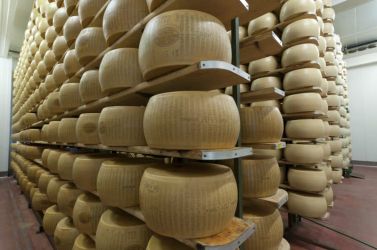 parmigiano reggiano